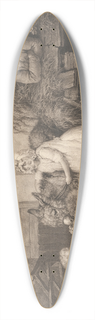 James Ward - Rustic Felicity 39.3 inch art pintail longboard deck