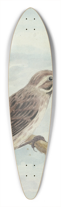 Jan Brandes - Hollandse vogel 39.3 inch art pintail longboard deck