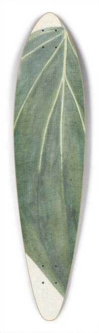 Jan Brandes - Sirih of betelblad 39.3 inch art pintail longboard deck