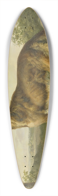 Jan Dasveldt - Siberian Greyhound 39.3 inch art pintail longboard deck
