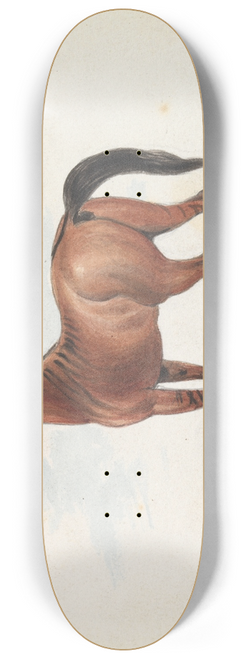 Charles Hamilton Smith - Colt Third Issue of Brood Mare and Second by the Black Arab 8.25 inch art skate deck