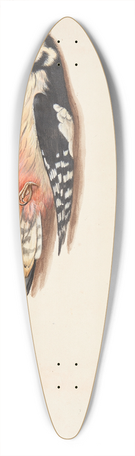 Johanna Fosie - Studie af dd flagsptte og gulspurv, ophngt 39.3 inch art pintail longboard deck