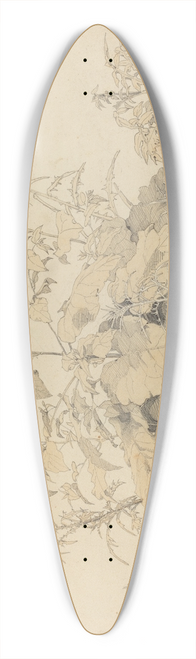 Johann Christian Heerdt - Wild Plants near Birstein 39.3 inch art pintail longboard deck