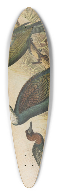 Johann Friedrich Naumann - Phalacrocorax carbo, Phalacrocorax graculus, Phalacrocorax pygmaeus 39.3 inch art pintail longboard deck