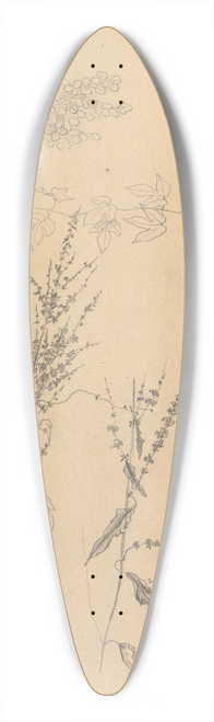 Johann Wilhelm Preyer - Studies of Plants 39.3 inch art pintail longboard deck