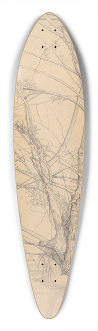 Johann Wilhelm Preyer - Study of a Tree Standing in Water in the Dsseldorf Hofgarten 39.3 inch art pintail longboard deck