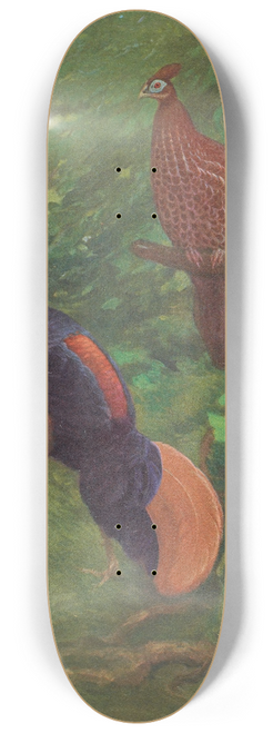 Charles Robert Knight - Bornean Crested Fireback 8.25 inch art skate deck