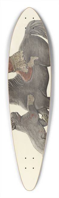 John Davis - Weather Vane 39.3 inch art pintail longboard deck
