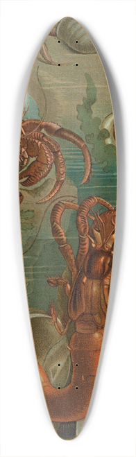 John George Wood - Hermit-Crabs. 39.3 inch art pintail longboard deck
