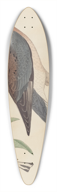 John G. Warnicke - Passenger Pigeon, Blue-mountain Warbler, and Hemlock Warbler 39.3 inch art pintail longboard deck