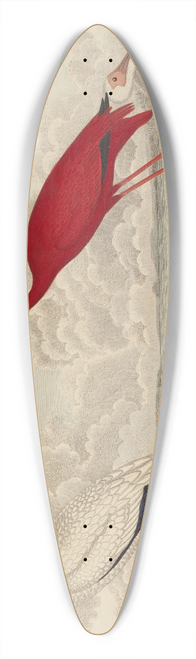 John G. Warnicke - Wood Ibis, Scarlet Ibis, Flamingo, and White Ibis 39.3 inch art pintail longboard deck
