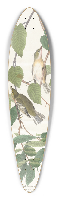 John James Audubon - Autumnal warbler 39.3 inch art pintail longboard deck