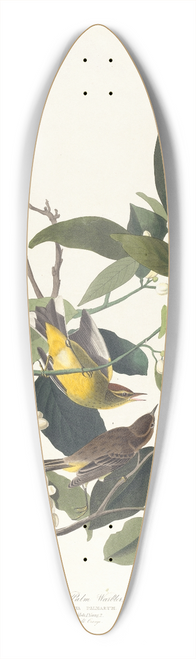 John James Audubon - Palm warbler 39.3 inch art pintail longboard deck