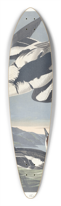 John James Audubon - Smew or white nun 39.3 inch art pintail longboard deck