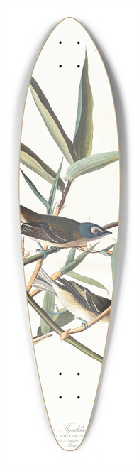 John James Audubon - Solitary flycatcher or vireo 39.3 inch art pintail longboard deck