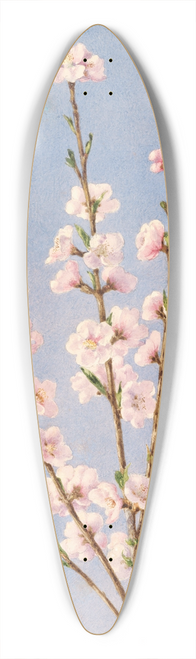 John William Hill - Peach Blossoms 39.3 inch art pintail longboard deck