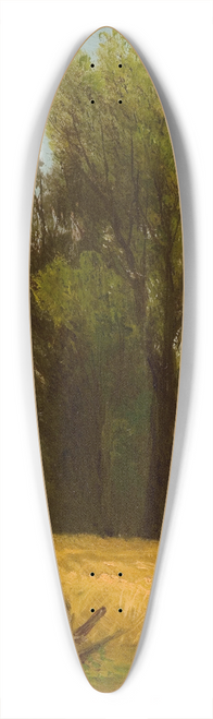 John Williamson - Scene in Berkshire County, Massachusetts 39.3 inch art pintail longboard deck