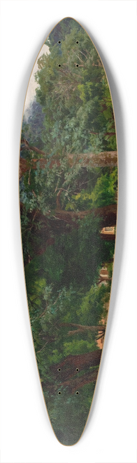 Joo Baptista da Costa - Petrpolis 39.3 inch art pintail longboard deck