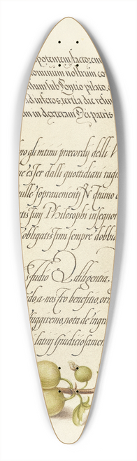 Joris Hoefnagel - European Currant 39.3 inch art pintail longboard deck