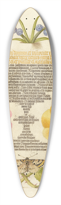 Joris Hoefnagel - Grape Hyacinth, Wasplike Insect, Eglantine, Austrian Brier, and Magpie Moth 39.3 inch art pintail longboard deck