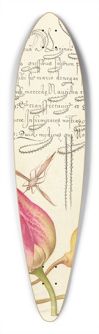 Joris Hoefnagel - Imaginary Insect, Tulip, Spider, and Common Pear 39.3 inch art pintail longboard deck