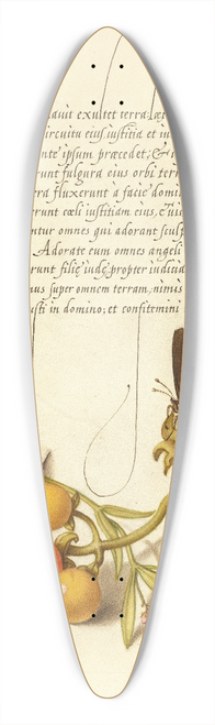 Joris Hoefnagel - Ringlet, False Jerusalem Cherry, and Milkwort 39.3 inch art pintail longboard deck