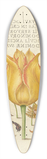 Joris Hoefnagel - Rocket Larkspurs, Tulip, Scorpion, Millepede, and European Filbert 39.3 inch art pintail longboard deck