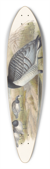 Joseph Wolf - Barnacle Goose (Bernicla Leucopsis) 39.3 inch art pintail longboard deck