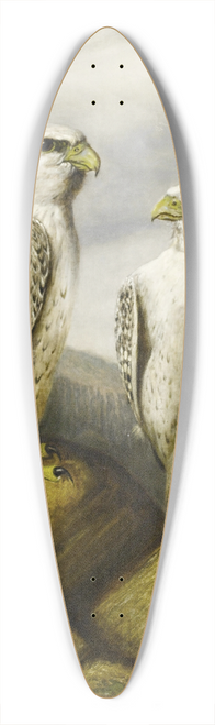 Joseph Wolf - Gyr Falcons On A Rocky Ledge 39.3 inch art pintail longboard deck