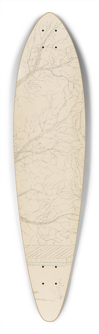 Lon Spilliaert - Les Serres Chaudes 1 39.3 inch art pintail longboard deck