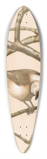 Lo-Paul Robert - Msange Nonnette 39.3 inch art pintail longboard deck