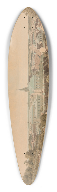 Louis Hflinger - Vaade Tartule Toomelt 39.3 inch art pintail longboard deck
