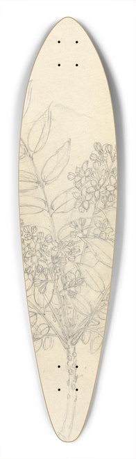 Luigi Balugani - Clausena anisata 39.3 inch art pintail longboard deck
