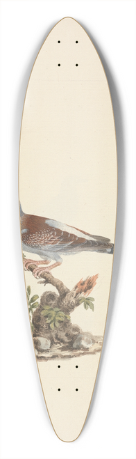 Luigi Balugani - Columba guinea (Speckled Pigeon, African Rock Pigeon) 39.3 inch art pintail longboard deck