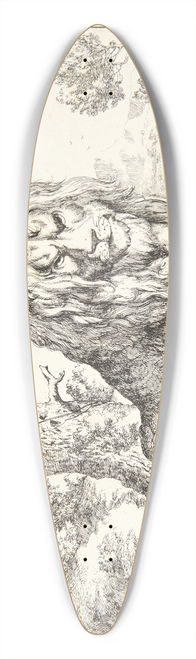 Marcus de Bye - Siddende lve 39.3 inch art pintail longboard deck