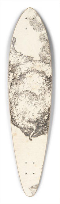 Marcus de Bye - Tissende gimmer 39.3 inch art pintail longboard deck