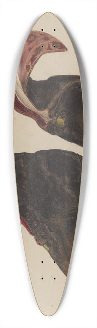 Marjorie McIntyre - Boys Shoes 39.3 inch art pintail longboard deck