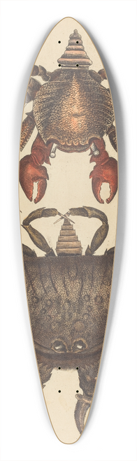 Mark Catesby - The Red Mottled Rock-crab (Cancer grapsus) 39.3 inch art pintail longboard deck