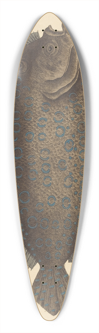Mark Catesby - The Sole (Pleuronectes lunatus) 39.3 inch art pintail longboard deck