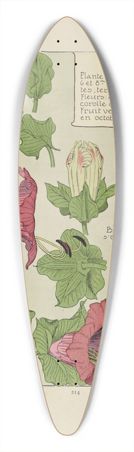 Maurice Pillard Verneuil - Cobea 39.3 inch art pintail longboard deck