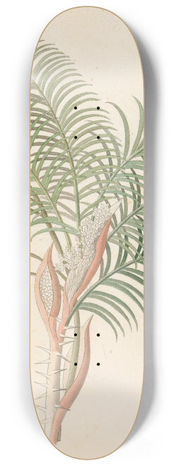 Clemenz Heinrich Wehdemann - Phoenix [Phoenix reclinata] 8.25 inch art skate deck
