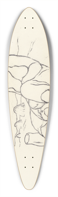 Mikul Galanda - Na poli 39.3 inch art pintail longboard deck