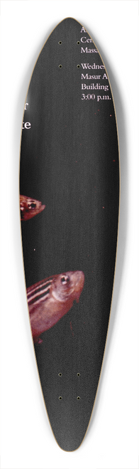 National Institutes of Health - Insertational mutagenesis in zebrafish nets genes for early vertebrate development 39.3 inch art pintail longboard deck