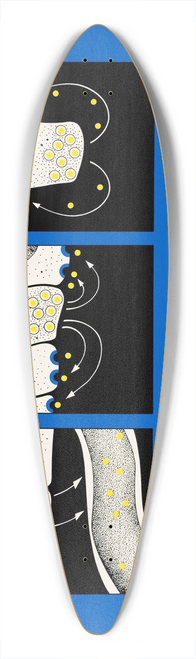 National Institutes of Health - Workshop on control of renal growth 39.3 inch art pintail longboard deck