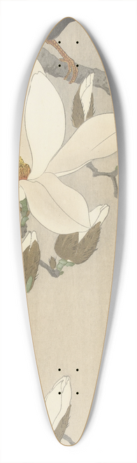 Ohara Koson - Myna on Magnolia Branch 39.3 inch art pintail longboard deck