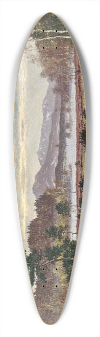 Otto Recknagel - Black grouse courtship in the Alpine foothills 39.3 inch art pintail longboard deck