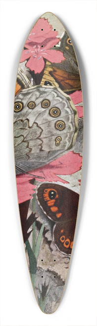 Paul-Andre Robert - Le Nmusien 39.3 inch art pintail longboard deck