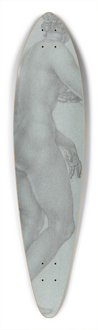 Peter van Lint - Venus de Medici; view from the back 39.3 inch art pintail longboard deck