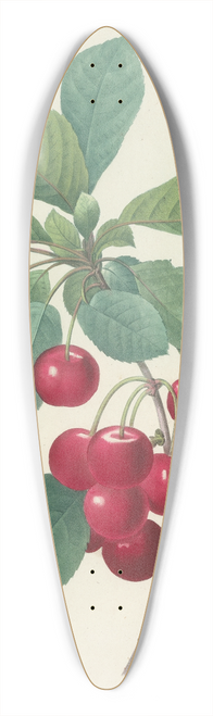 Pierre Joseph Redout - Choix des plus belles fleurs pl 022 39.3 inch art pintail longboard deck