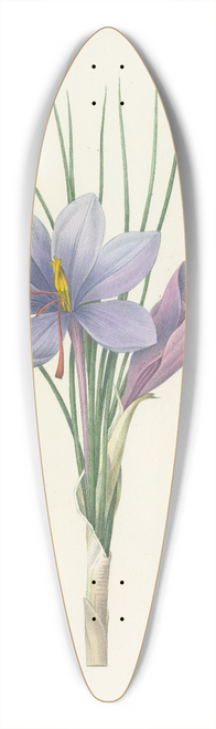 Pierre Joseph Redout - Choix des plus belles fleurs pl 028 39.3 inch art pintail longboard deck